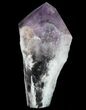 Huge, Amethyst Crystal Point - Brazil #64862-2